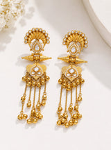 Meher Kashmiri Long Earrings