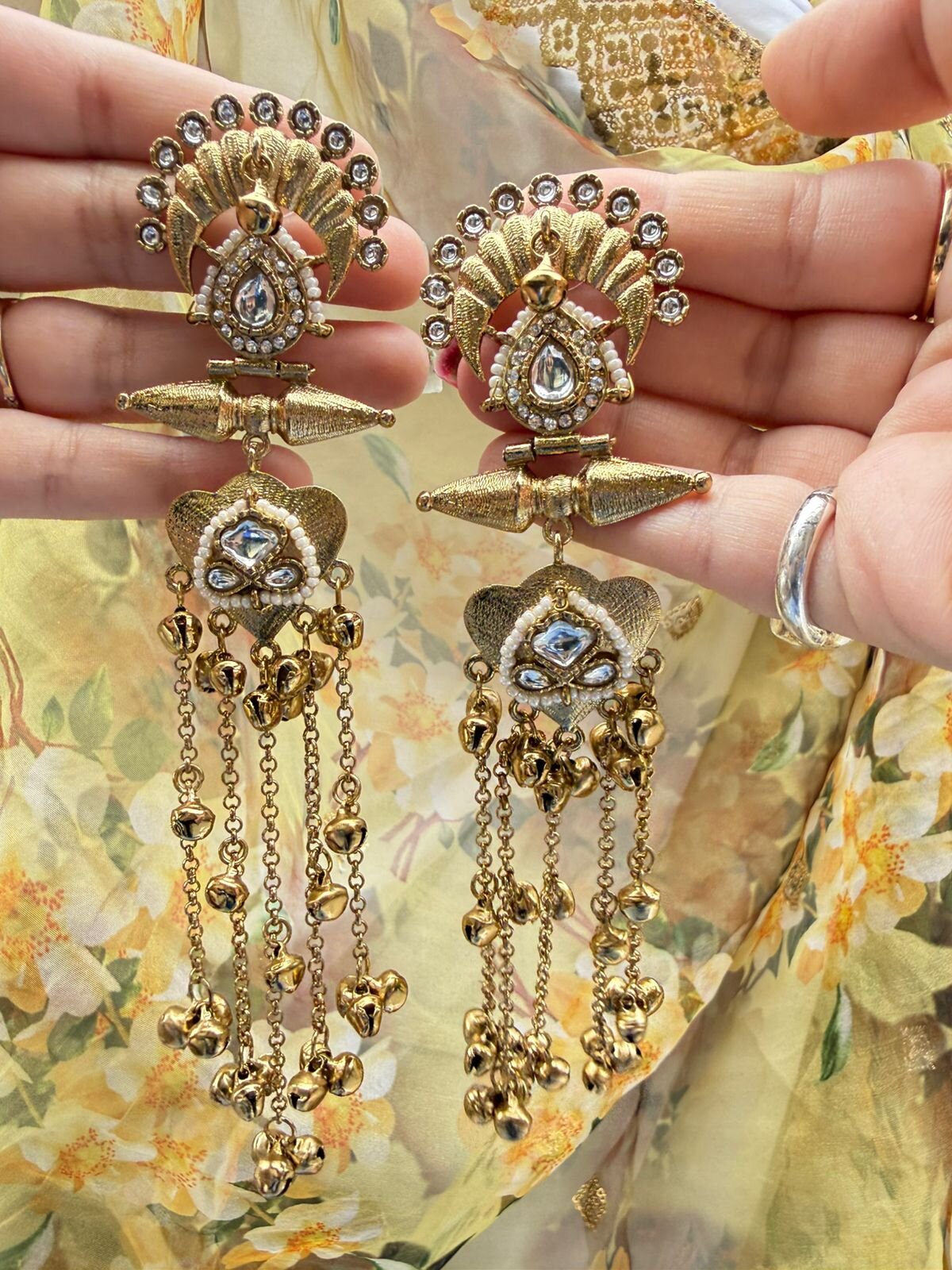 Meher Kashmiri Long Earrings